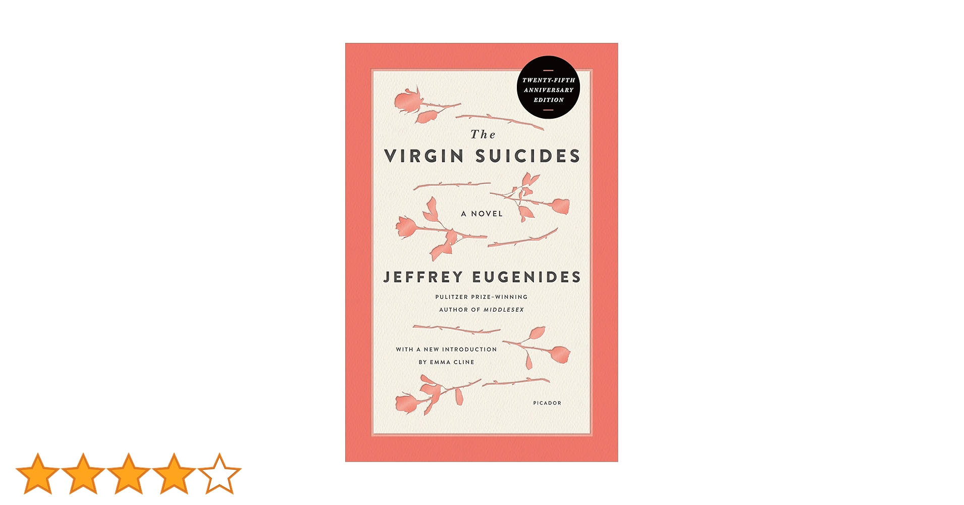 THE VIRGIN SUICIDES フォトブック　帯付き THE VIRGIN SUICIDES フォトブック 帯付き The Virgin Suicides